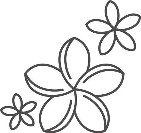 Jasmine Flower Outline