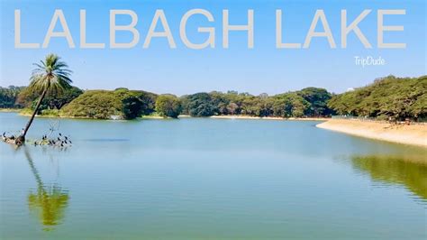 Lalbagh Lake Bangalore : Paradise for Nature Lovers #bengaluru - YouTube