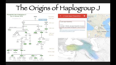 The Origins of Haplogroup J - YouTube