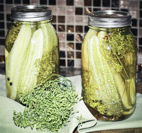 The Ultimate Classic Kosher Dill Pickle Recipe Pickling Crock, Easy Pickling Recipes, Pickle ...