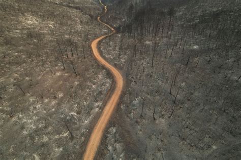 2023’s record heat temperatures left scars across the globe - The ...