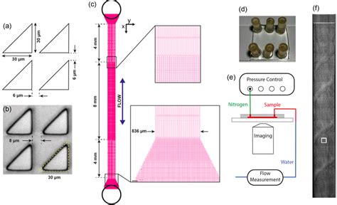 FIG. S1. Overview of the device and experimental setup. (a) Pillars... | Download Scientific Diagram