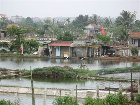 Thai Binh Economic Zone Masterplan, Vietnam - Hansen Partnership