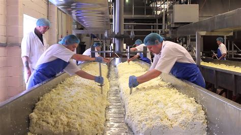 Cheese Making Process | How to make cheese, Cheese making process, Food