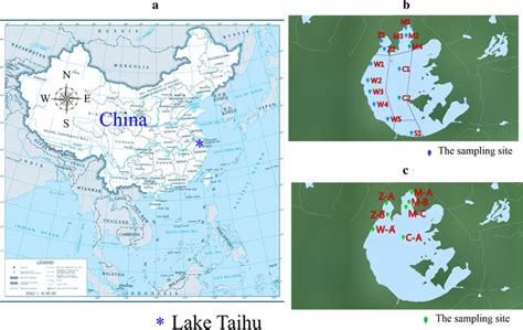 The map for Lake Taihu and the sampling sites in Western Lake Taihu. a... | Download Scientific ...