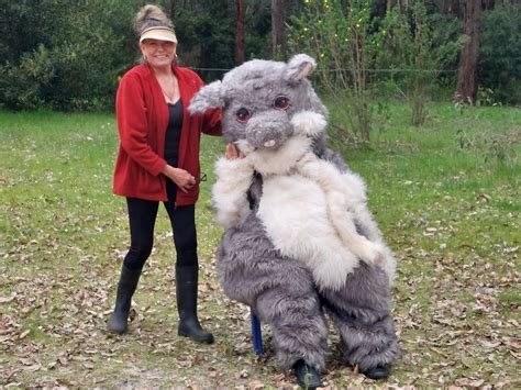 POSSUM HABITAT CLEARING ON HOLD IN GELORUP — Ngaarda Media