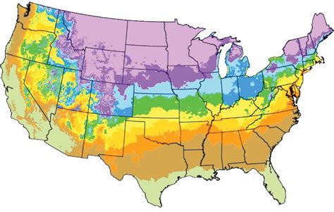 United States Zoning | Map, Lilac, Plants