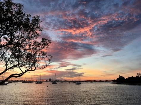 Sarasota Sunset With Silhouettes – Susan Rushton