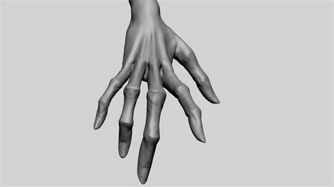 ArtStation - Creature Hand | Resources