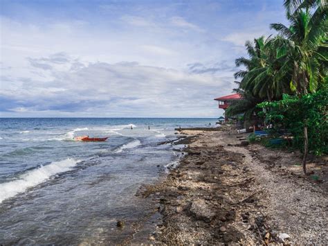 Vista Azul @Catmondaan, Catmon, Cebu | Cebu, Vista, Outdoor