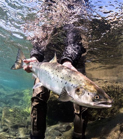 Fishing in Iceland, options. – Iceland Outfitters