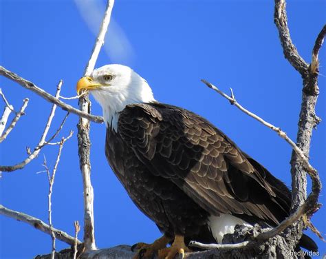 Windy Point Photograph by Chad Vidas - Fine Art America