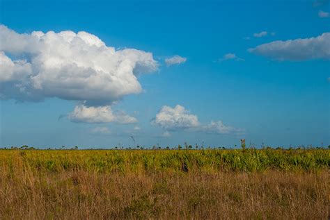 Kissimmee Prairie Preserve State Park Map, FL – Natural Atlas