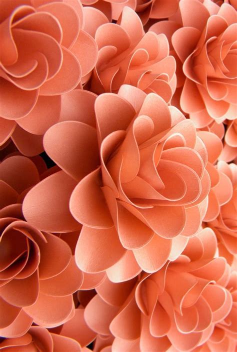 ~ It's a Colorful Life ~: Photo | Flower aesthetic, Orange aesthetic ...