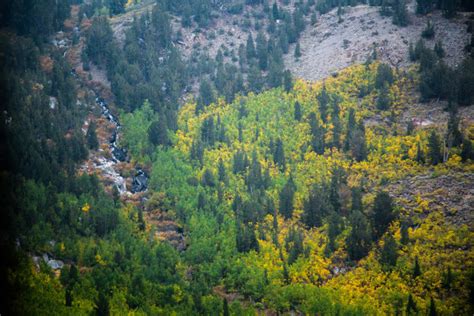 Off-Road to Laurel Lakes – California Fall Color