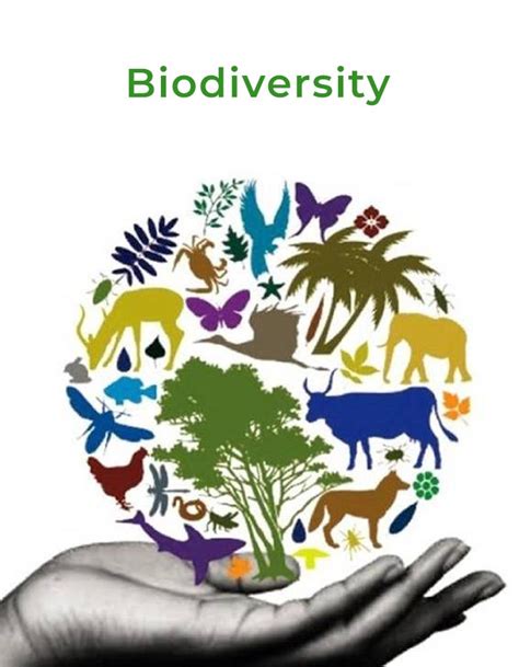 Biodiversity Conservation. Biodiversity conservation is simply the ...