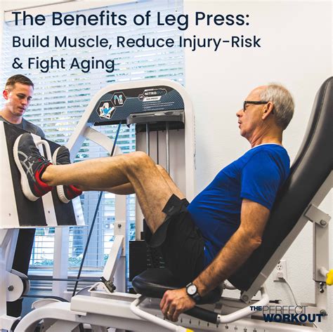 Benefits of Leg Press: Build Muscle + Reduce Injury - The Perfect Workout