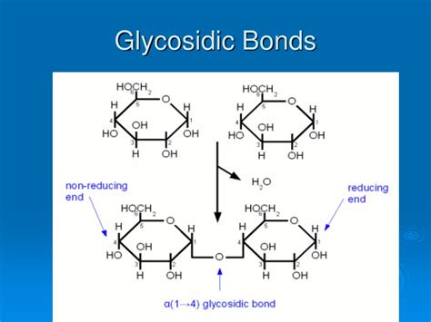 PPT - Biological Molecules PowerPoint Presentation, free download - ID:7053933