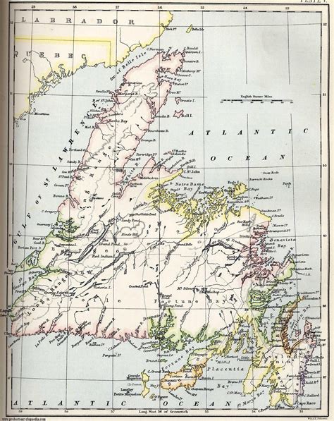 Map of Newfoundland 1884 | Family tree tattoo, Art appreciation, Newfoundland map