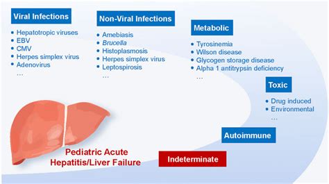 Frontiers | Acute hepatitis of unknown origin in children: A ...