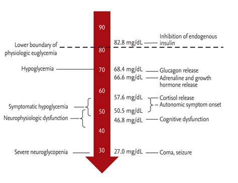 emDOCs.net – Emergency Medicine EducationThe Adult Hypoglycemic Patient: Tips for Emergency ...