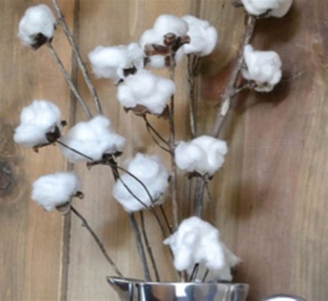 31 Cute Cotton Ball Craft Ideas - HubPages