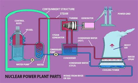 Nuclear Power Plant & Nuclear Energy: Definition, Parts, Diagram - www ...