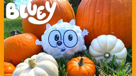 🎃 Bluey DIY Pom Pom Pumpkin Painting | Bluey Halloween DIY Fun! | Disney Jr | ABC Kids ...