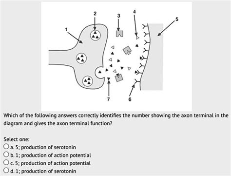 SOLVED: 'please help Which of the following answers correctly ...