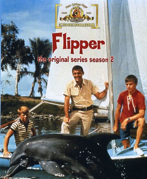 Flipper - TV series | 70s tv shows, 1970s tv shows, Old tv shows