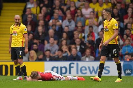 Nordin Amrabat Watford Looks Down Luke Editorial Stock Photo - Stock Image | Shutterstock