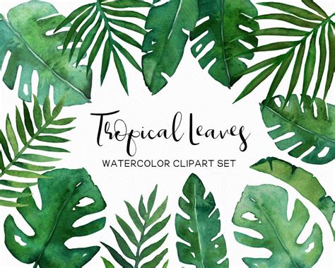 Watercolor Tropical Leaves Tropical Clipart Watercolor - Etsy