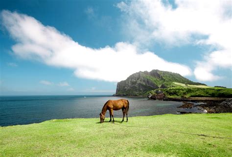 Seongsan llchulbong | Volcano | Jeju Island | South Korea