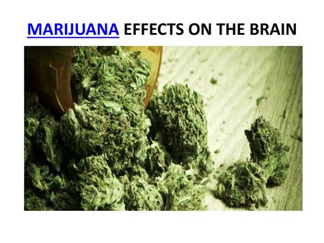 PPT - marijuana effects on the brain PowerPoint Presentation, free ...