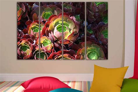 Agave canvas Aloe wall art Nature canvas Flower art Agave | Etsy