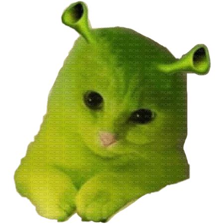 Shrek cat, shrek , cat , meme , funny , green , fantasy - Free PNG - PicMix