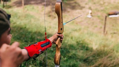 5 Best Beginner Recurve Bows In 2023