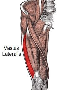 Vastus Lateralis Pain