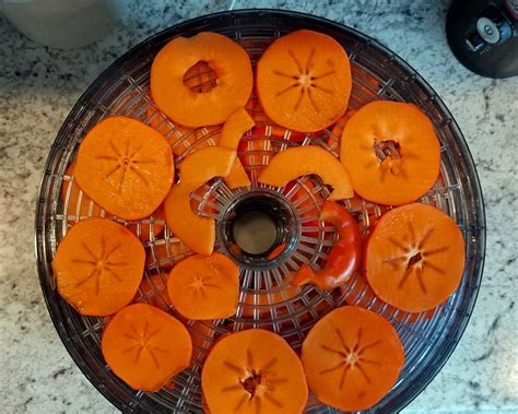 Dried Hachiya Persimmons – Sunnyvale-Garden