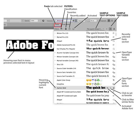 Adobe illustrator font - pmluda