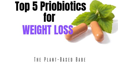 Top 5 Probiotics For Weight-Loss