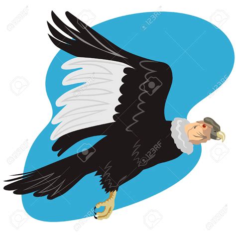 Collection of Condor clipart | Free download best Condor clipart on ...