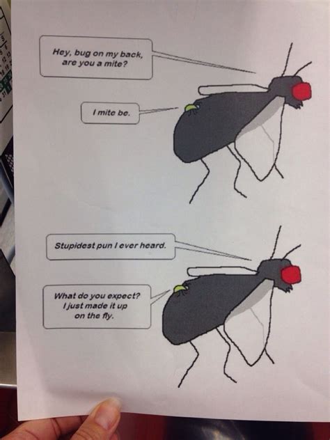 Funny Fly Jokes and Movie Posters