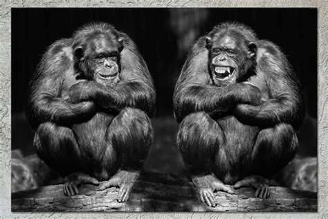 Two Laughing Monkeys Parody Black & White Canvas Print - Etsy