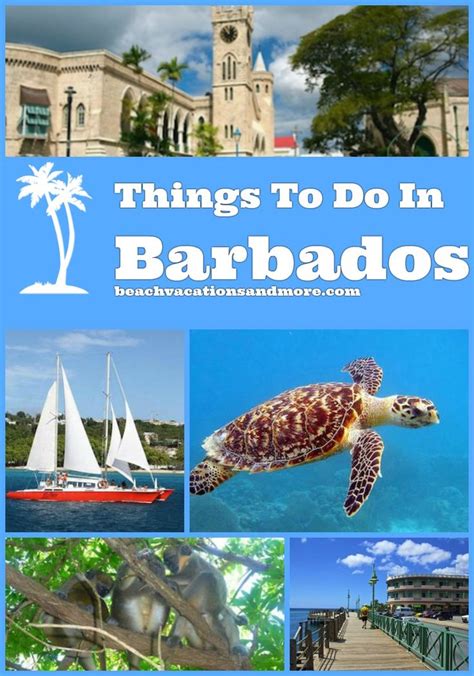 172 best images about Activities in Barbados on Pinterest | Activities ...