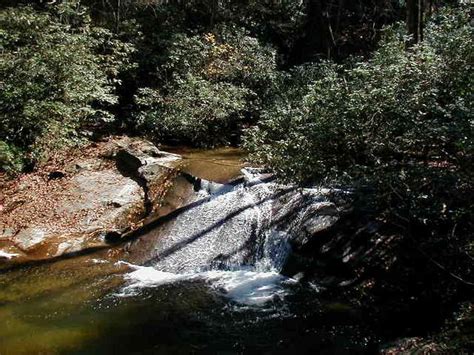 Chattahoochee-Oconee National Forest - Wildcat Creek Campground #1 ...