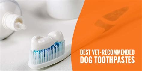 10 Best Vet-Recommended Dog Toothpastes – Ingredients, Reviews, FAQ