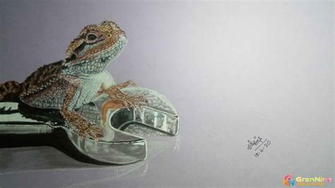 Realistic Drawing Of Lizard How To Draw A - GranNino