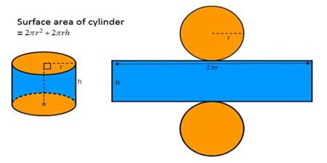 Surface Area of Cylinders - Assignment Point