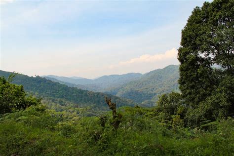 Filming in Uganda’s forests - Best Forests for filming in Uganda